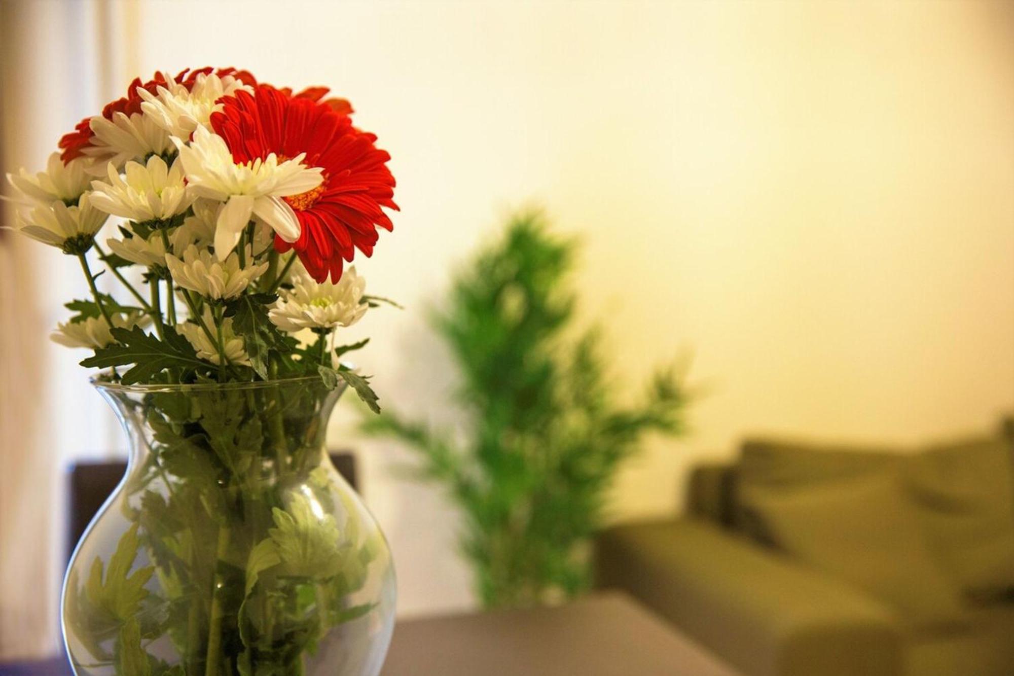 Apartamento Peaceful Renovated Near Lycabettus Hill *